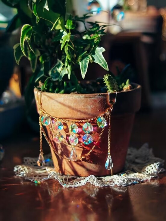Other - Plant Bling